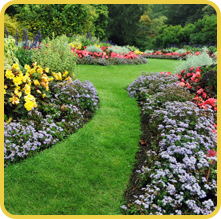 Flower Beds