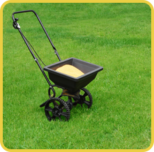 Fertilizing Lawn